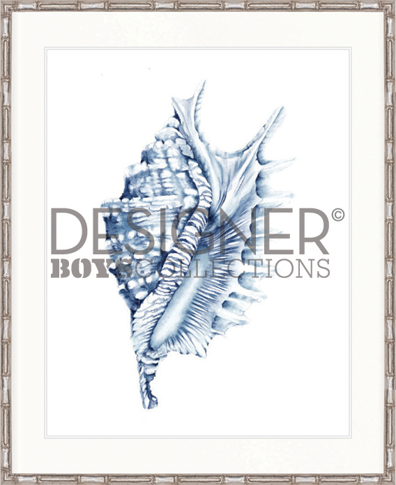 Hamptons Style Exquisite Shell IV Indigo Blue Framed Print Artwork-Faux Bamboo Silver-Small - 560mm H x 465mm W - Image 2