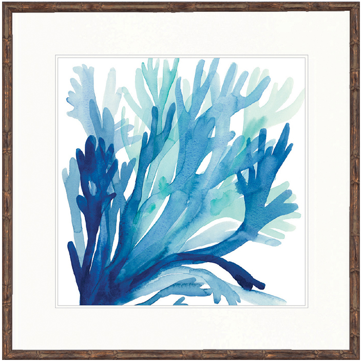 "Designer Boys Collections" Watercolour Coral I Artwork, Seychelles Coral Collection - Image 2