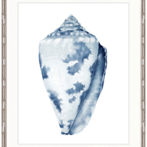 Designer Boys Collections "Exquisite Shell I (Indigo Blue)" Artwork-Faux Bamboo Silver-Medium - 820mm H x 630mm W