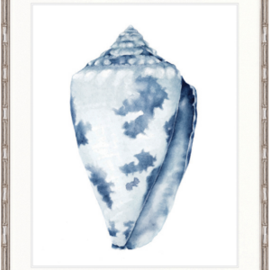 "Designer Boys Collections" Exquisite Shell I Indigo Blue Artwork, Careel Bay Shell Collection
