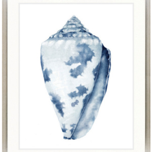 Designer Boys Collections "Exquisite Shell I (Indigo Blue)" Artwork-Champagne Silver Square-Small - 560mm H x 465mm W