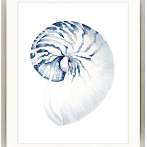 Hamptons Style Exquisite Shell II Indigo Blue Framed Print Artwork-Champagne Silver Square-Large - 1076mm H x 870mm W