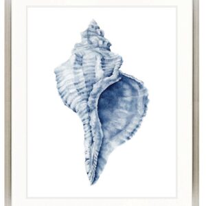 Designer Boys Collections "Exquisite Shell III (Indigo Blue)" Artwork-Champagne Silver Square-Small - 560mm H x 465mm W