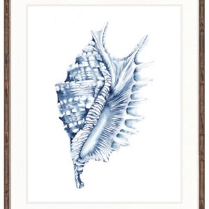 Hamptons Style Exquisite Shell IV Indigo Blue Framed Print Artwork-Faux Bamboo Brown-Large - 1076mm H x 870mm W
