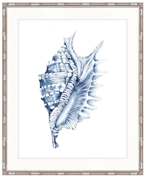 Hamptons Style Exquisite Shell IV Indigo Blue Framed Print Artwork-Faux Bamboo Silver-Small - 560mm H x 465mm W