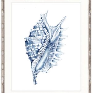 Hamptons Style Exquisite Shell IV Indigo Blue Framed Print Artwork-Faux Bamboo Silver-Medium - 820mm H x 630mm W