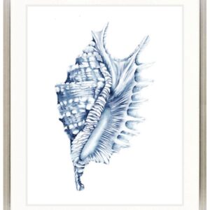 Hamptons Style Exquisite Shell IV Indigo Blue Framed Print Artwork-Champagne Silver Square-Medium - 820mm H x 630mm W