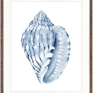 Designer Boys Exquisite Shell V Indigo Blue Framed Print Artwork-Faux Bamboo Brown-Medium - 820mm H x 630mm W