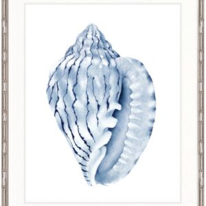 Designer Boys Exquisite Shell V Indigo Blue Framed Print Artwork-Faux Bamboo Silver-Medium - 820mm H x 630mm W