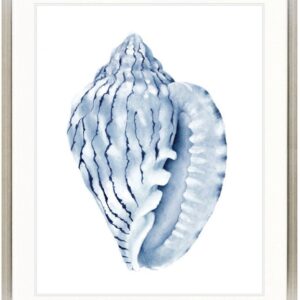Designer Boys Exquisite Shell V Indigo Blue Framed Print Artwork-Champagne Silver Square-Medium - 820mm H x 630mm W