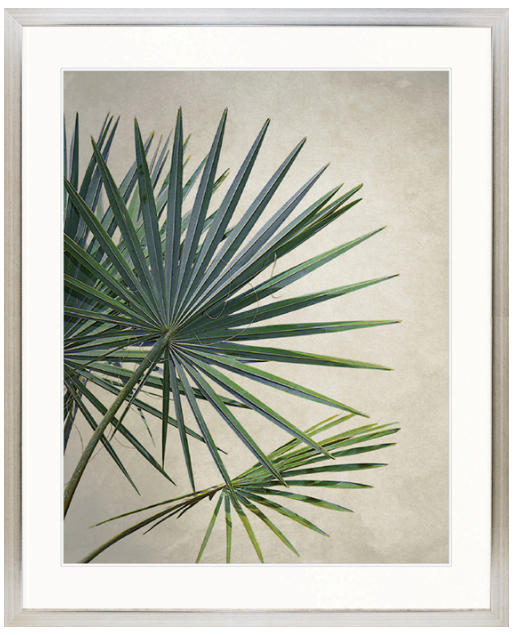 "Designer Boys Collections" Exotic Palm II Artwork, Palm Cove Collection - Image 2