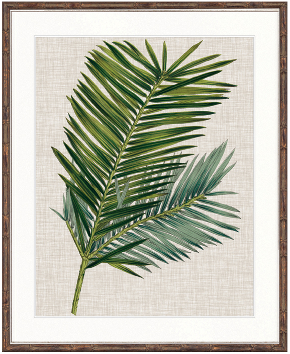 "Designer Boys Collections" Tropical Evergreen I Artwork, Elysium Tropical Collection - Image 2