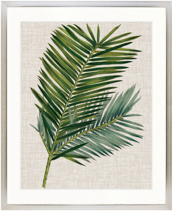 "Designer Boys Collections" Tropical Evergreen I Artwork, Elysium Tropical Collection - Image 3