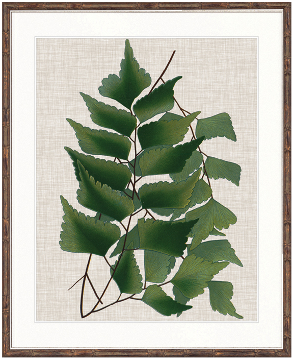 "Designer Boys Collections" Tropical Evergreen II Artwork, Elysium Tropical Collection - Image 2