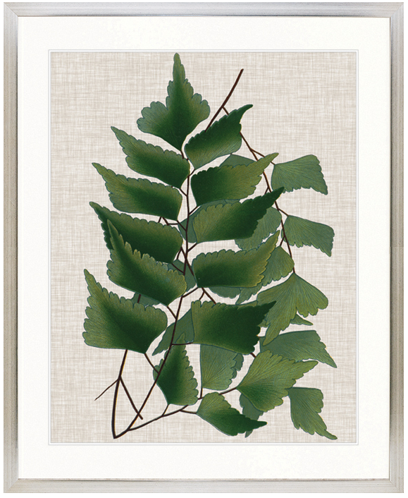 "Designer Boys Collections" Tropical Evergreen II Artwork, Elysium Tropical Collection - Image 3