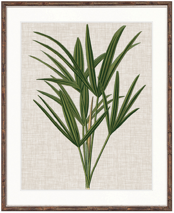 "Designer Boys Collections" Tropical Evergreen III Artwork, Elysium Tropical Collection - Image 2