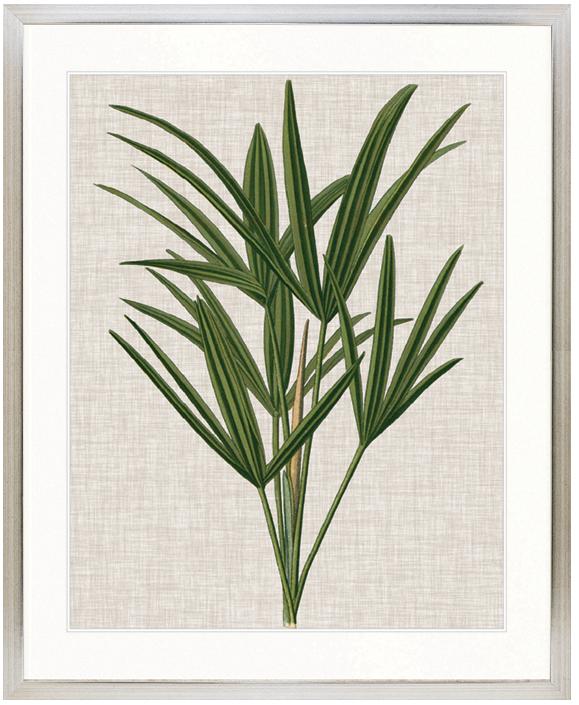 "Designer Boys Collections" Tropical Evergreen III Artwork, Elysium Tropical Collection - Image 3