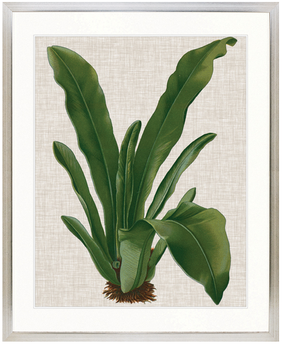 "Designer Boys Collections" Tropical Evergreen IV Artwork, Elysium Tropical Collection - Image 3