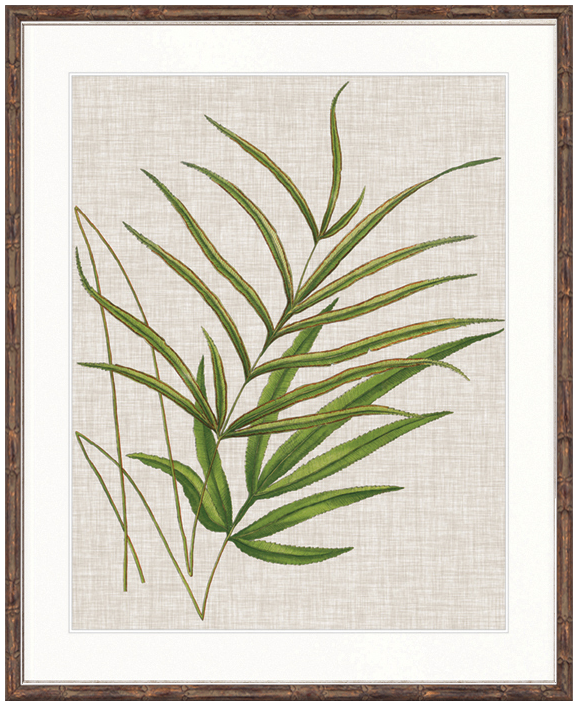 "Designer Boys Collections" Tropical Evergreen V Artwork, Elysium Tropical Collection - Image 2