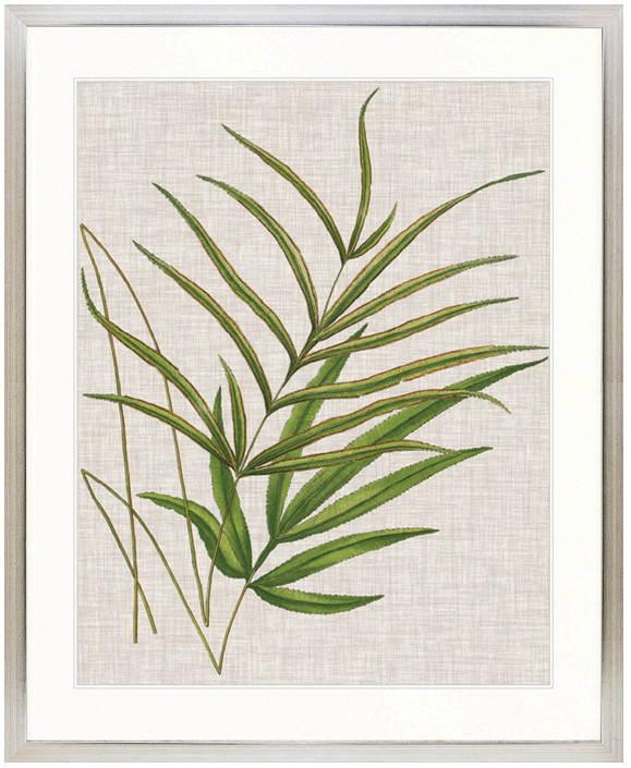 "Designer Boys Collections" Tropical Evergreen V Artwork, Elysium Tropical Collection - Image 3