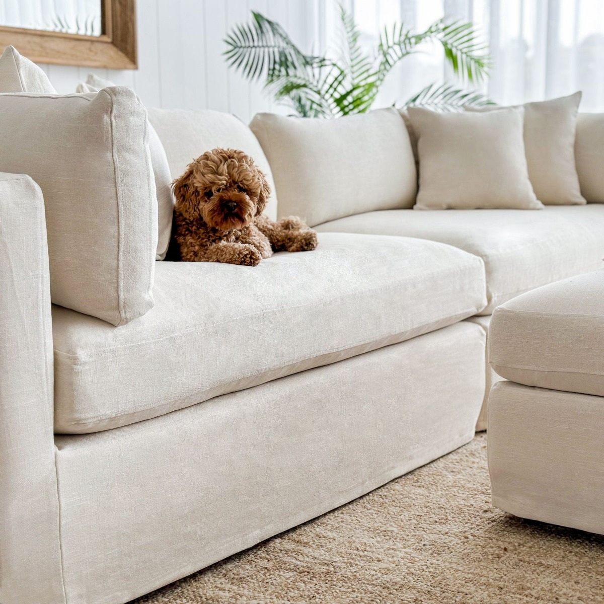 Slip Cover - Marbella Modular Sofa A Ivory, W 150 D 100 H 85cm (RRP $799) - Image 10