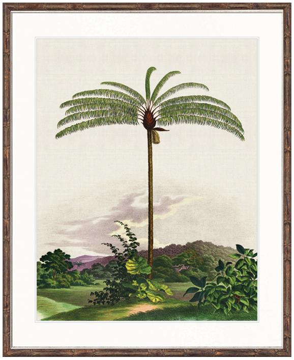 "Designer Boys Collections" Vintage Palm Study I Artwork, Kasimir Palm Collection - Image 2