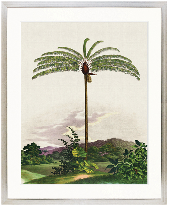 "Designer Boys Collections" Vintage Palm Study I Artwork, Kasimir Palm Collection - Image 3