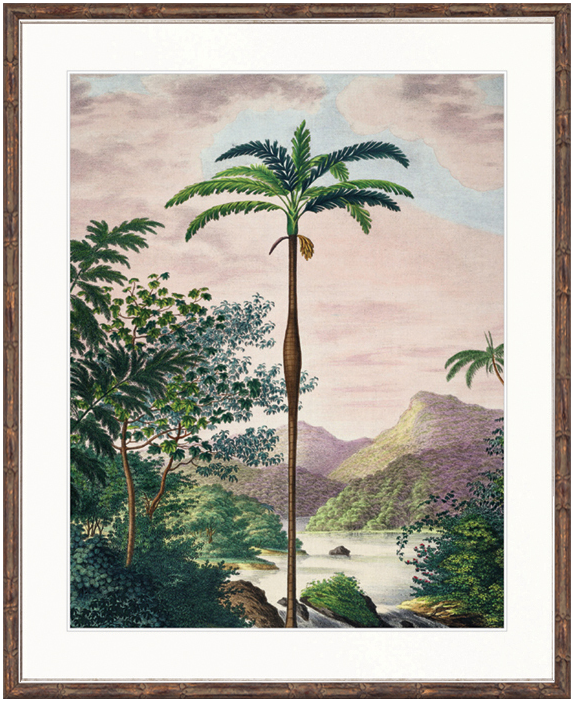 "Designer Boys Collections" Vintage Palm Study II Artwork, Kasimir Palm Collection - Image 2