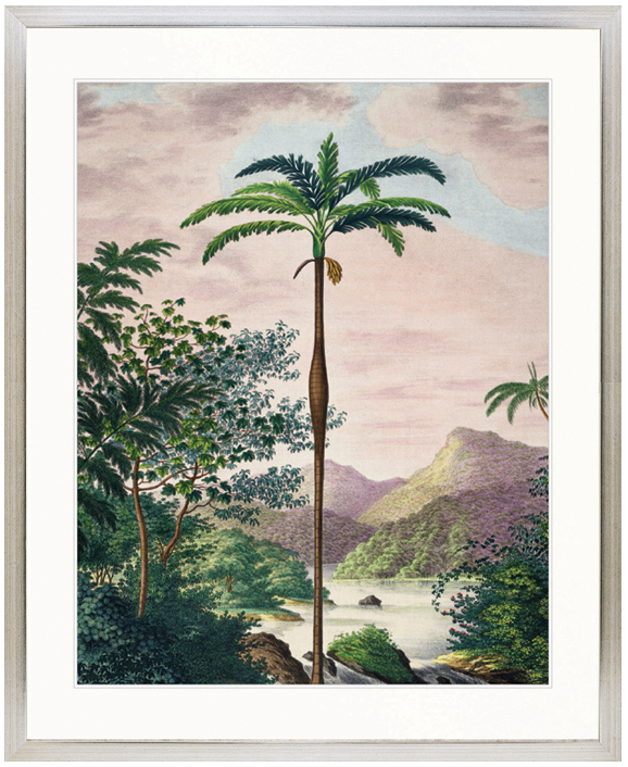 "Designer Boys Collections" Vintage Palm Study II Artwork, Kasimir Palm Collection - Image 3