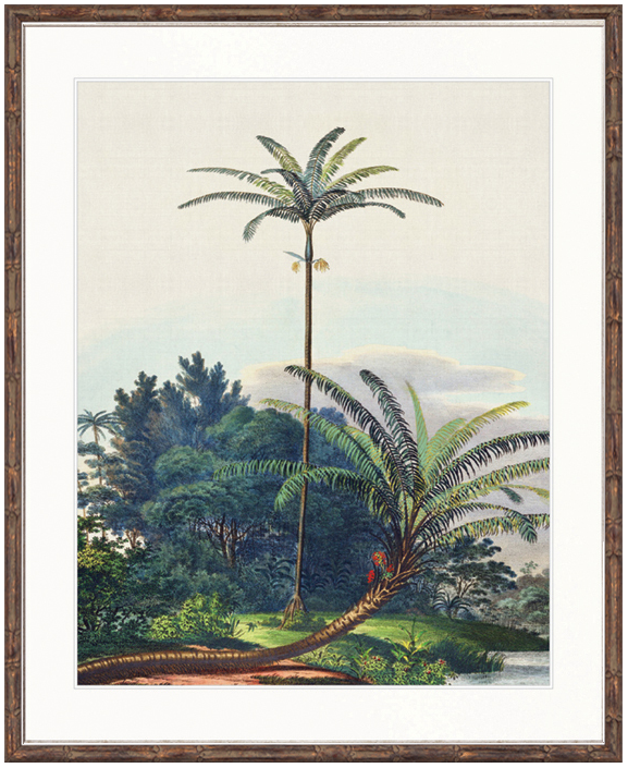 "Designer Boys Collections" Vintage Palm Study III Artwork, Kasimir Palm Collection - Image 2