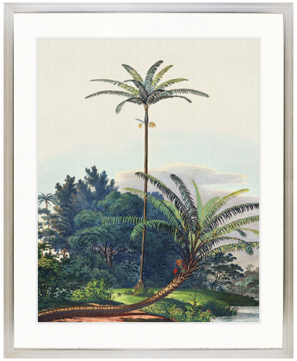 "Designer Boys Collections" Vintage Palm Study III Artwork, Kasimir Palm Collection - Image 3