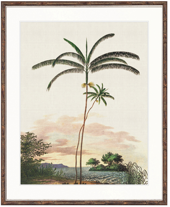 "Designer Boys Collections" Vintage Palm Study IV Artwork, Kasimir Palm Collection - Image 2