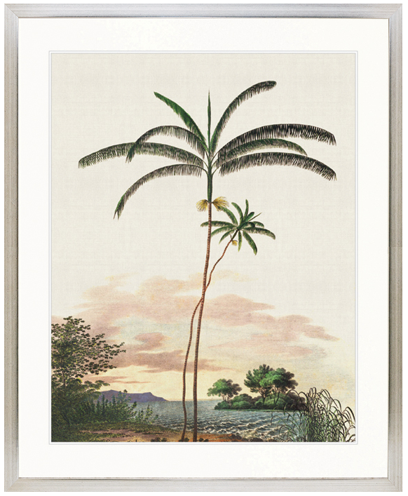 "Designer Boys Collections" Vintage Palm Study IV Artwork, Kasimir Palm Collection - Image 3