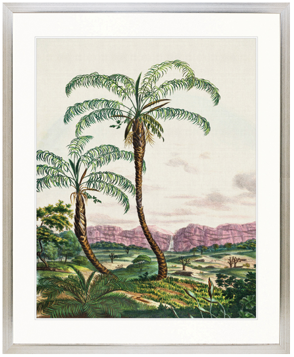 "Designer Boys Collections" Vintage Palm Study V Artwork, Kasimir Palm Collection - Image 3
