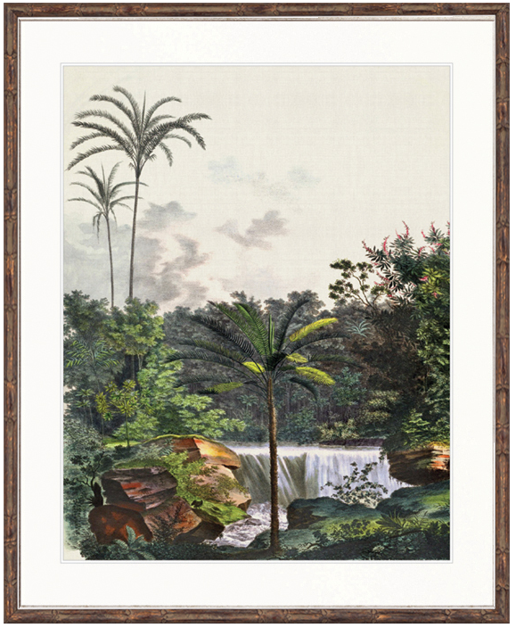 "Designer Boys Collections" Vintage Palm Study VI Artwork, Kasimir Palm Collection - Image 2