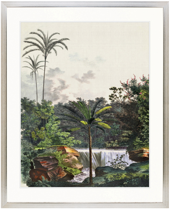 "Designer Boys Collections" Vintage Palm Study VI Artwork, Kasimir Palm Collection - Image 3